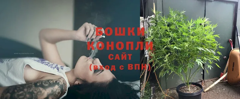 Каннабис OG Kush  blacksprut как войти  Зерноград 